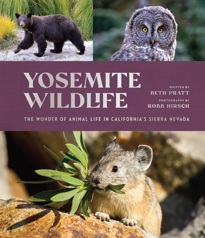 ‘Yosemite Wildlife’
